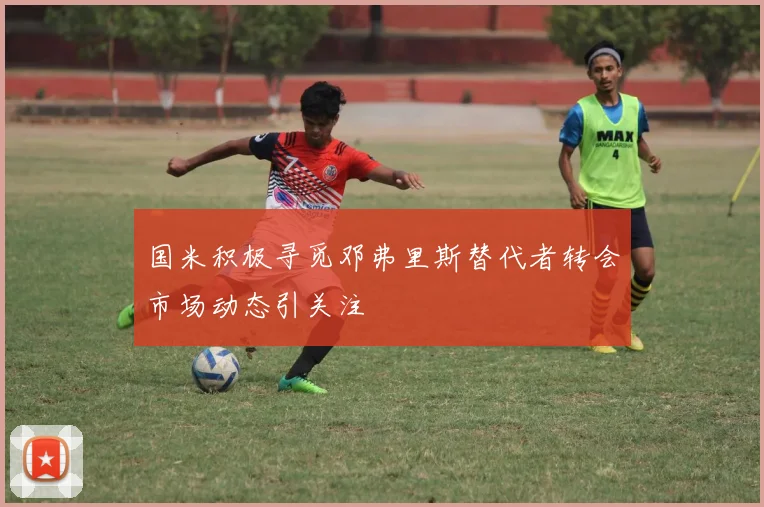 国米积极寻觅邓弗里斯替代者转会市场动态引关注