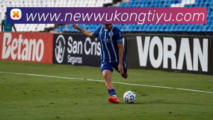 悟空体育平台生态图