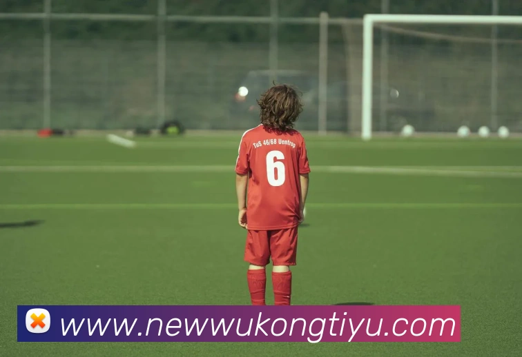 悟空体育APP 封面图